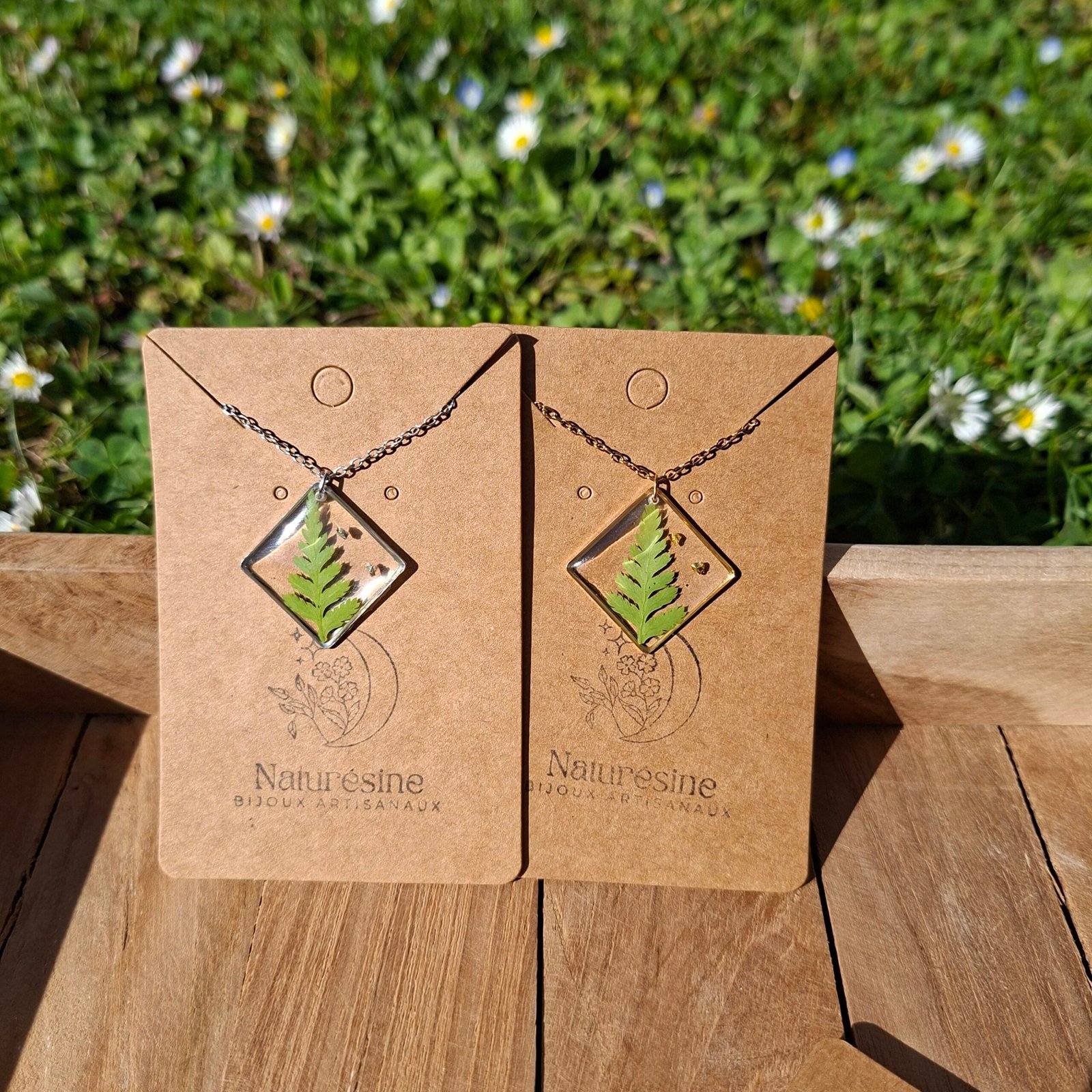 15055 scaled 15055 scaled